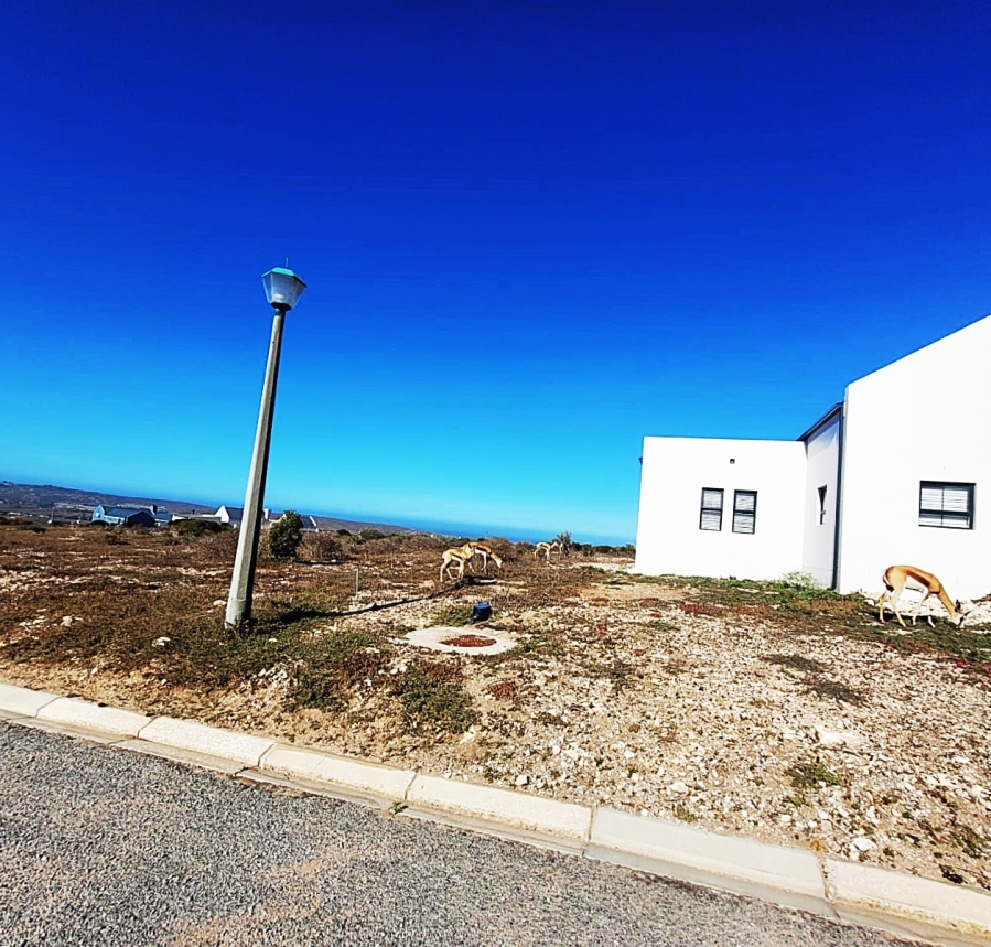 0 Bedroom Property for Sale in Hoogland Western Cape